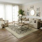 6' x 9' Beige and Grey Patterned Rug